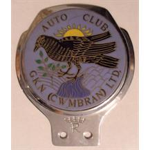 Renamel R Type CAR BADGE